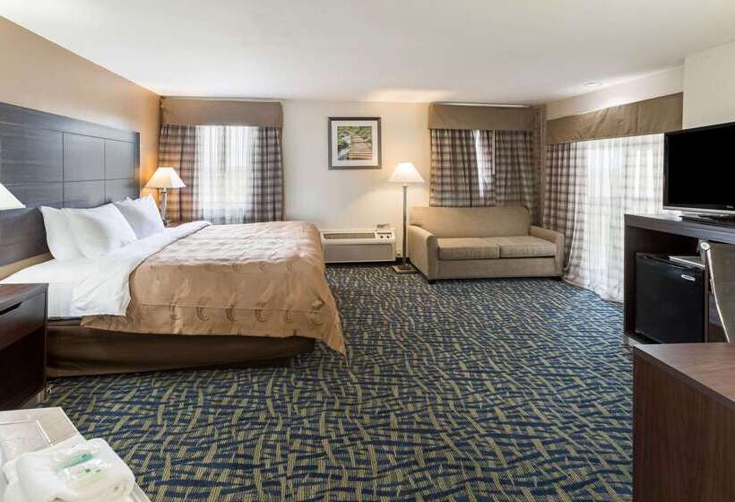 Отель Quality Inn