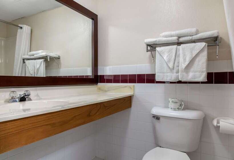 ホテル Quality Inn & Suites