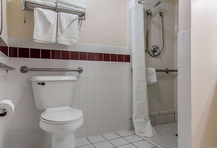 ホテル Quality Inn & Suites