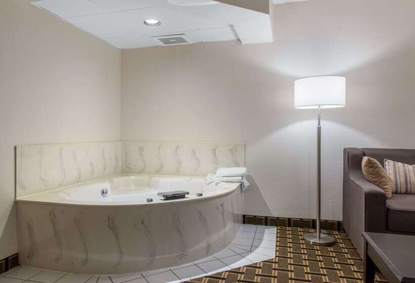ホテル Quality Inn & Suites