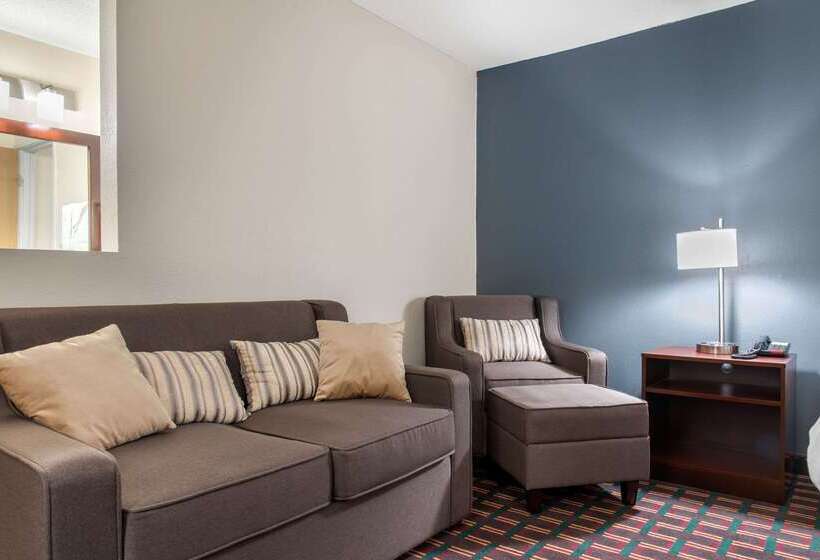 ホテル Quality Inn & Suites