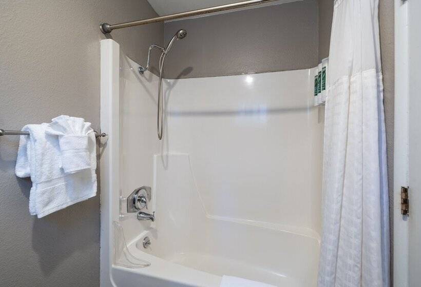 בית מלון כפרי The Alder Inn