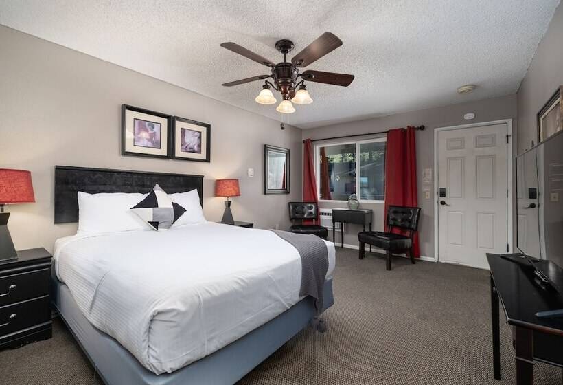 בית מלון כפרי The Alder Inn