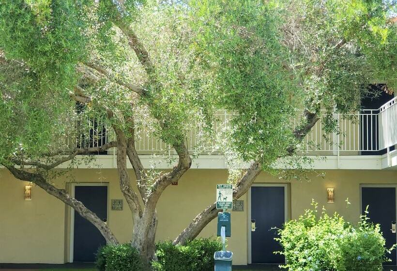 هتل Wild Palms, A Jdv By Hyatt