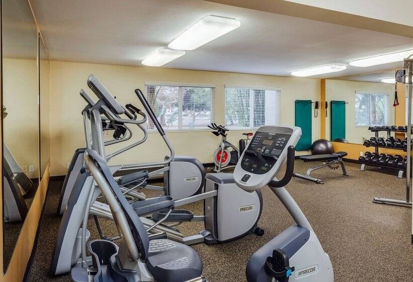 هتل Wild Palms, A Jdv By Hyatt