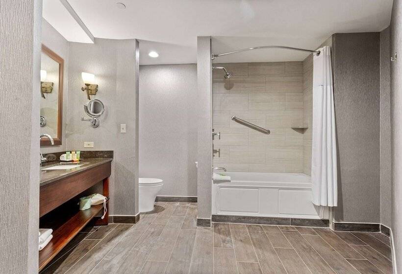 فندق Wyndham Garden Baronne Plaza