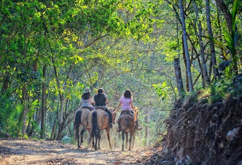 בית מלון כפרי Martz Farm Treehouses & Cabanas