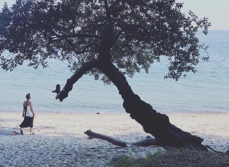 تختخواب و صبحانه Bellinge House