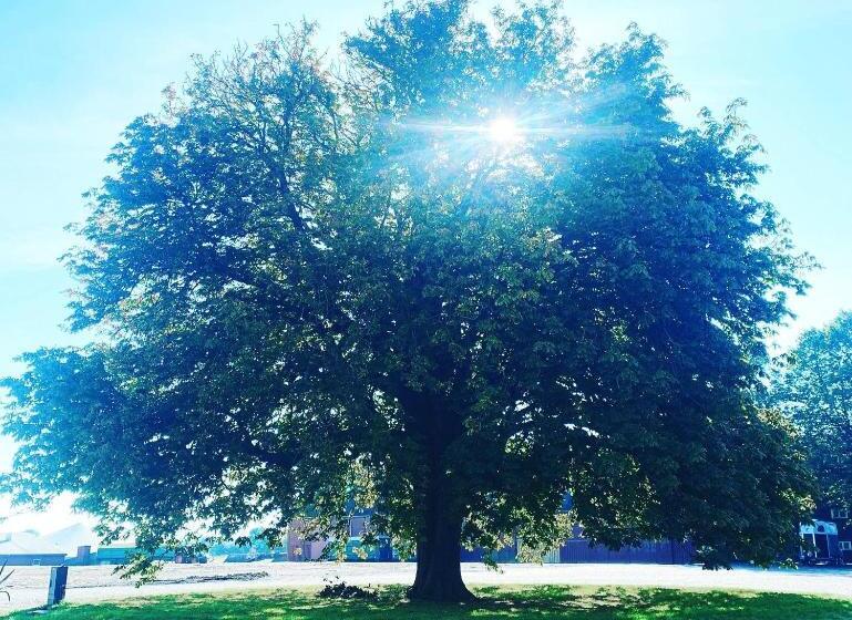 تختخواب و صبحانه Bellinge House