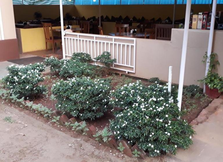 مسافرخانه Shawn S Morjim Enclave