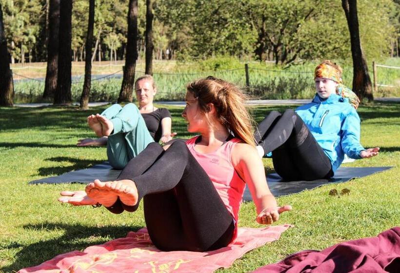 ペンション Surfivor Surf Camp