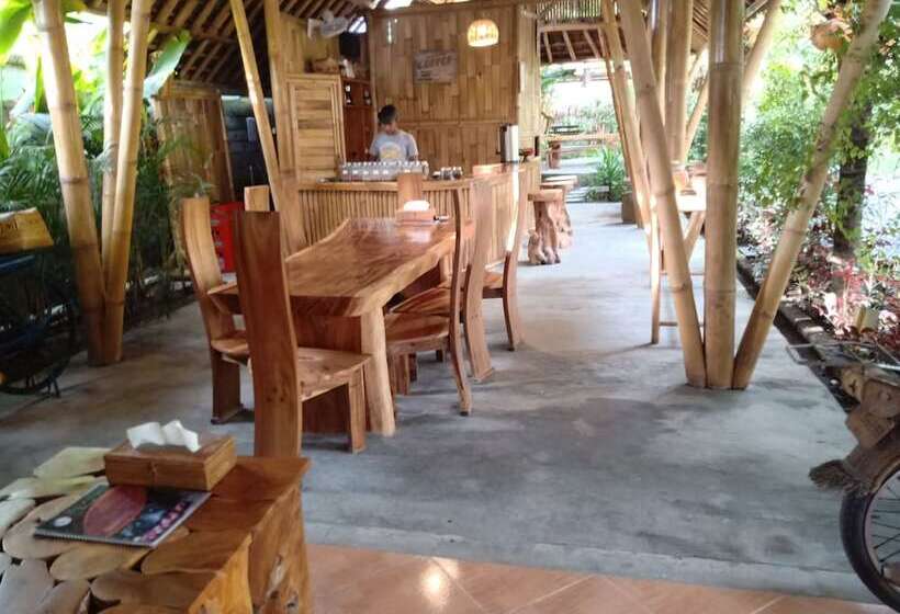 Mas Village Resort