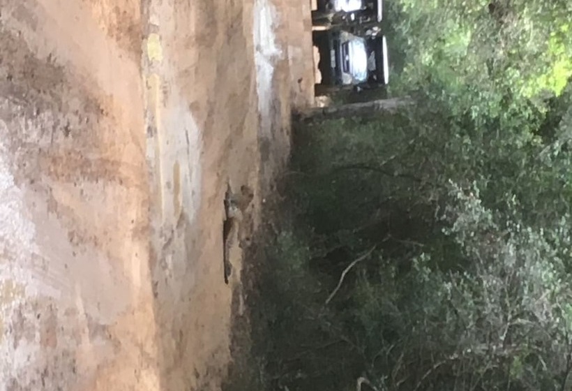 بنسيون Ceylon Wilpattu Safaris & Lodging