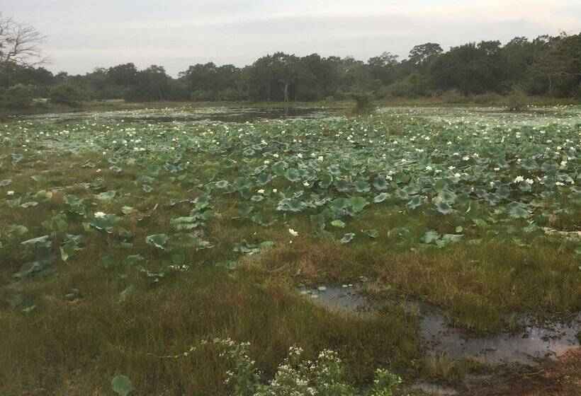 بنسيون Ceylon Wilpattu Safaris & Lodging