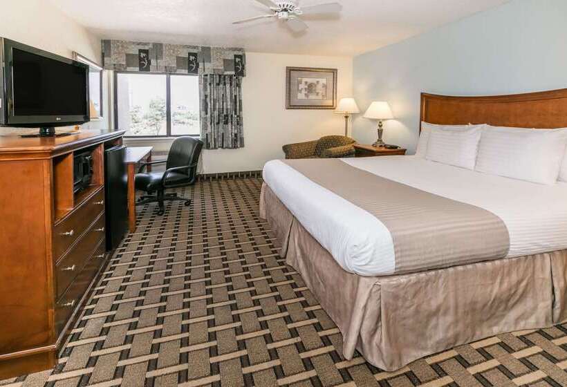 ホテル Baymont By Wyndham Arlington At Six Flags Dr