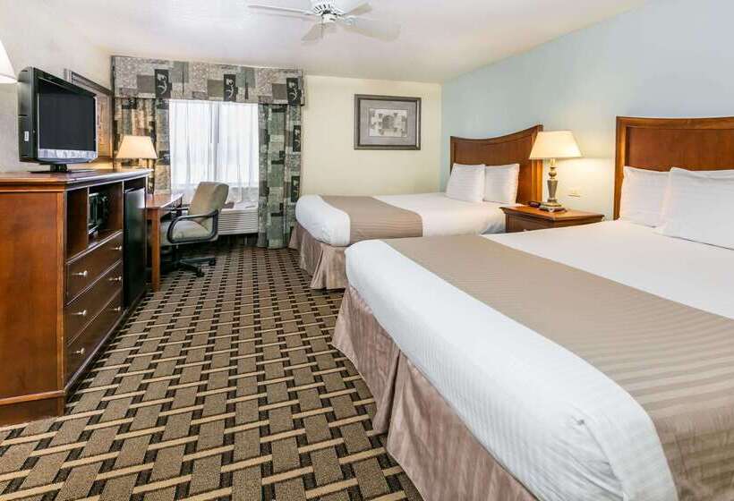 ホテル Baymont By Wyndham Arlington At Six Flags Dr