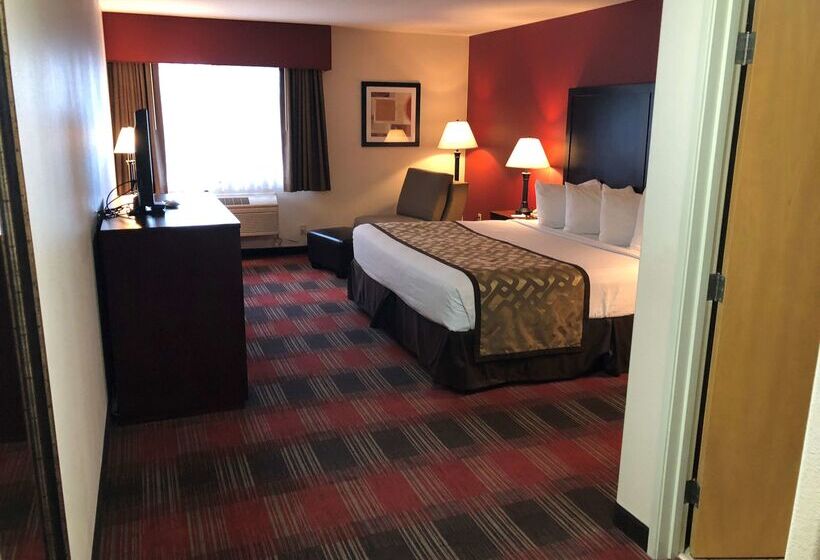 호텔 Best Western Dallas Inn & Suites