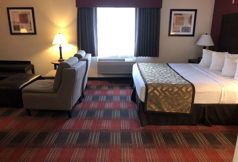 호텔 Best Western Dallas Inn & Suites