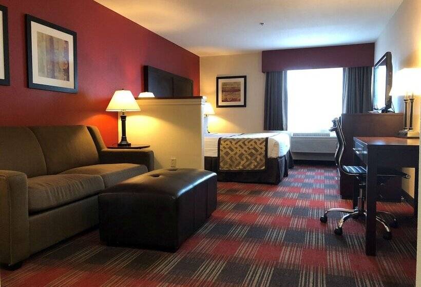 호텔 Best Western Dallas Inn & Suites