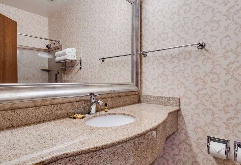 هتل Best Western Plus Abbey Inn