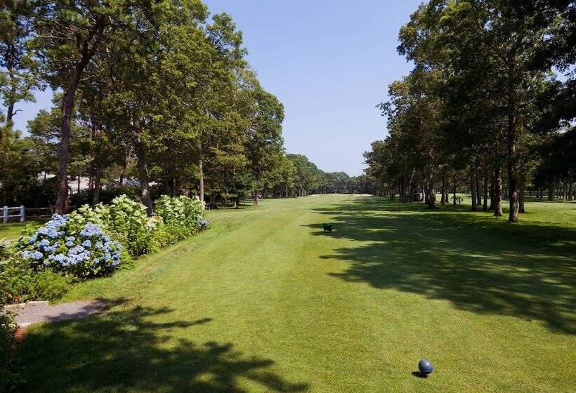 هتل Blue Rock Resort