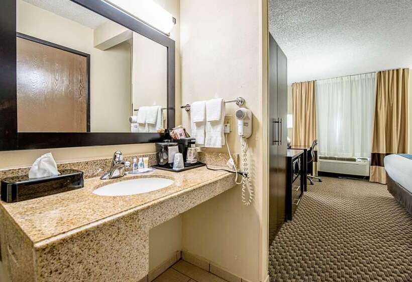 酒店 Comfort Inn Matteson   Chicago