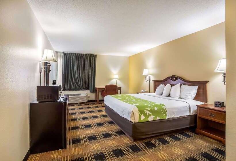 酒店 Econo Lodge Inn & Suites