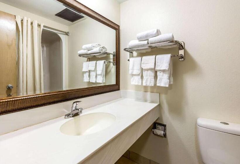 酒店 Econo Lodge Inn & Suites