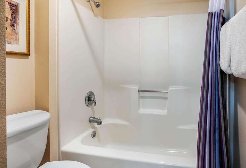 酒店 La Quinta Inn By Wyndham Detroit Southgate