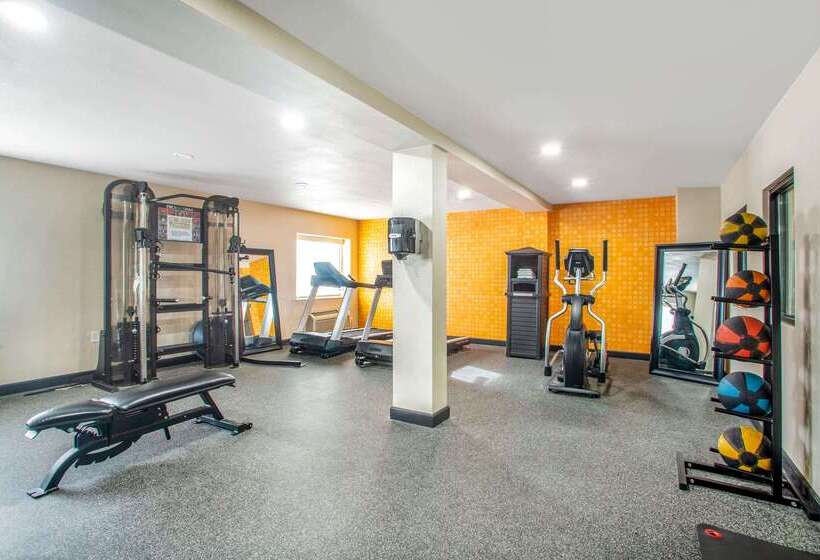 هتل La Quinta Inn By Wyndham St. Louis Hazelwood  Airport North