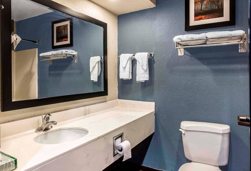 酒店 Quality Inn & Suites Exmore