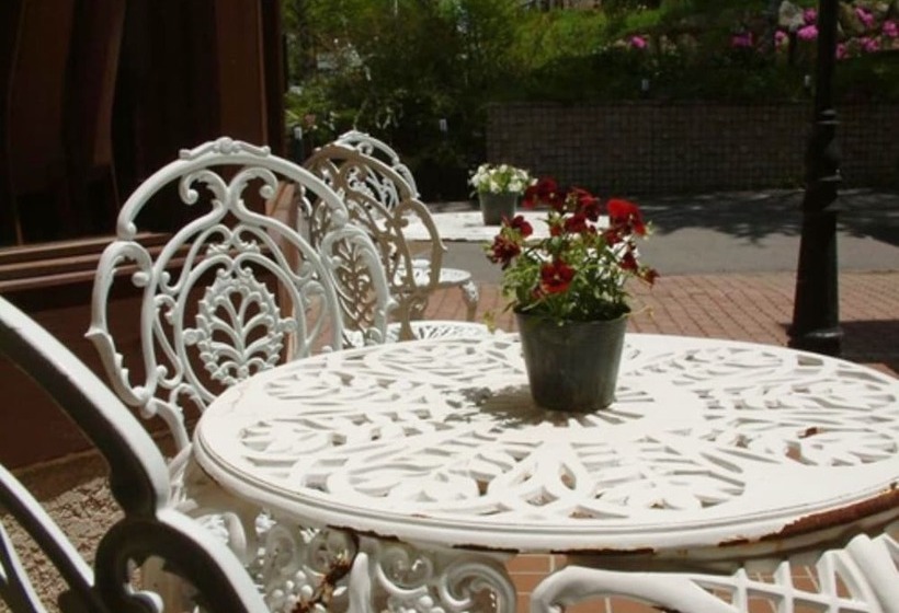 فندق فئة نجمة واحدة Shirakabako Sakaeen