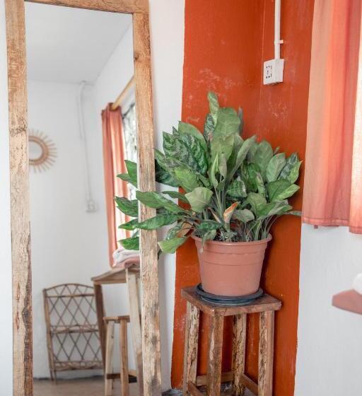 פנסיון Sacred Lotus   Vegan Café X Hostel