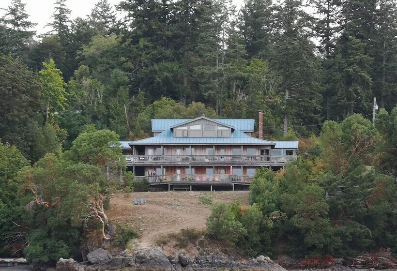 مبيت وإفطار Arbutus Cove Guesthouse