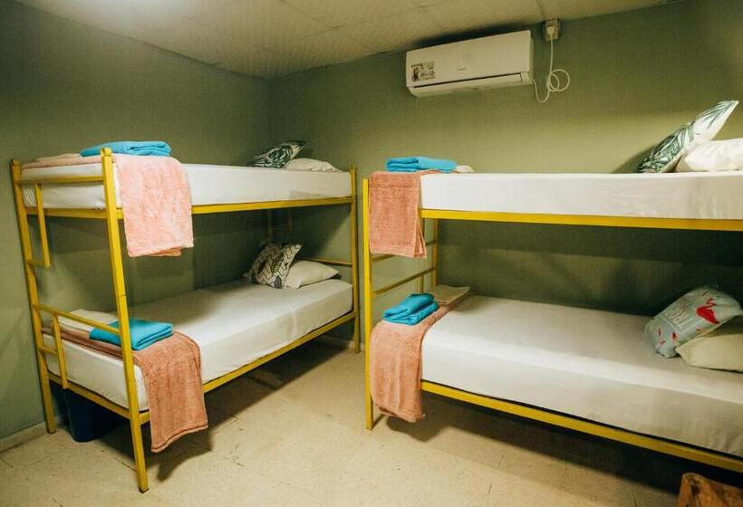 بنسيون Hostal & Café Travelers
