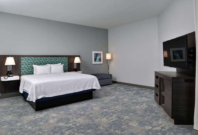 בית מלון כפרי Hampton Inn Cedar Falls Downtown