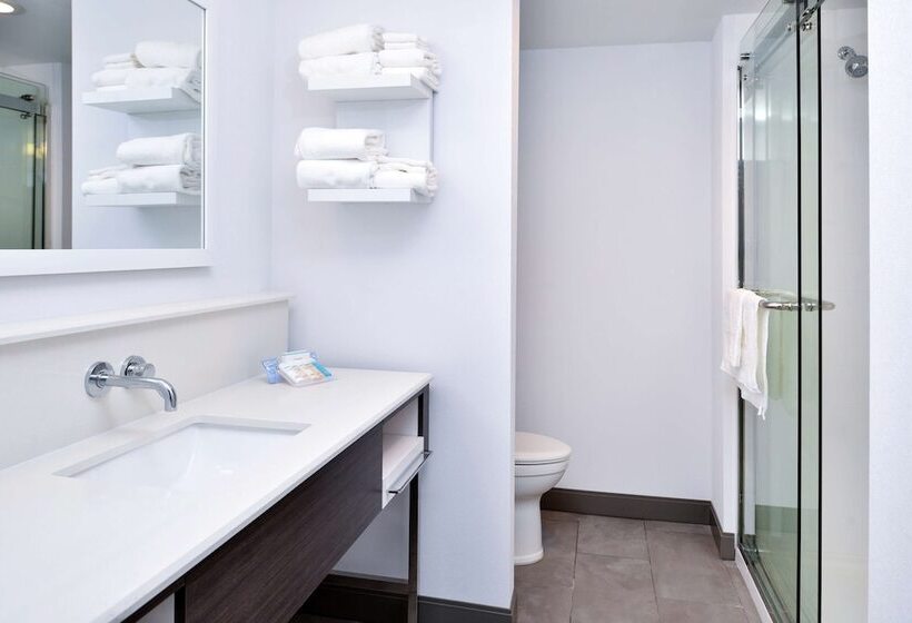 בית מלון כפרי Hampton Inn Cedar Falls Downtown
