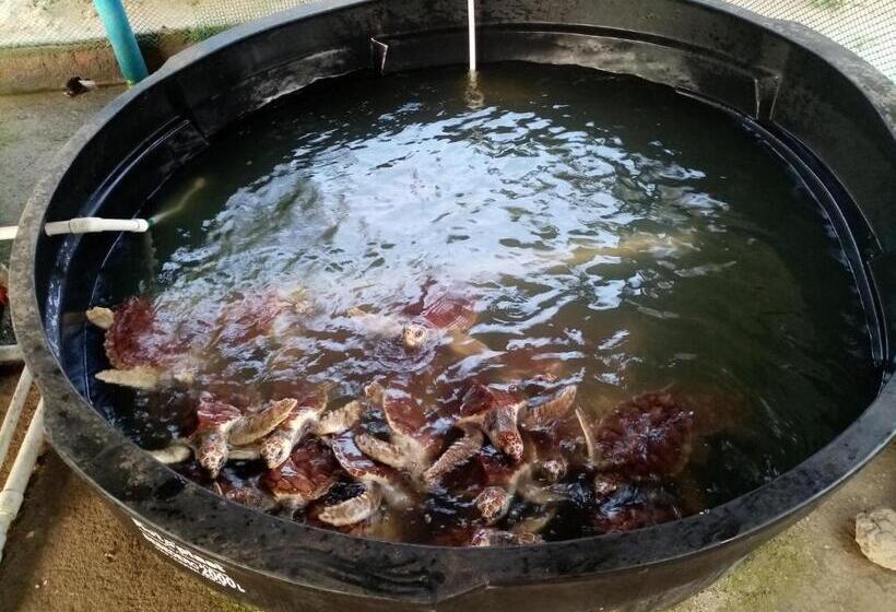 پانسیون Hostal La Finquita