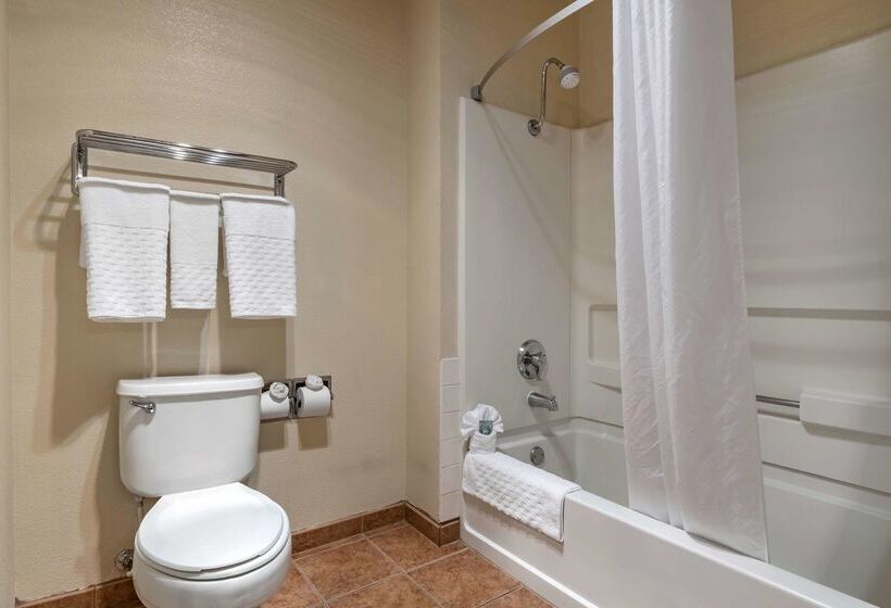 호텔 Best Western Luxury Inn