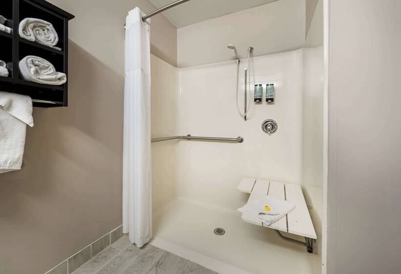 Отель Best Western Park Oasis Inn