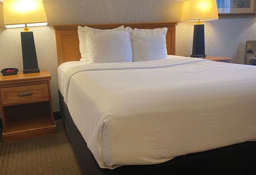 ホテル Best Western Plus Kelly Inn