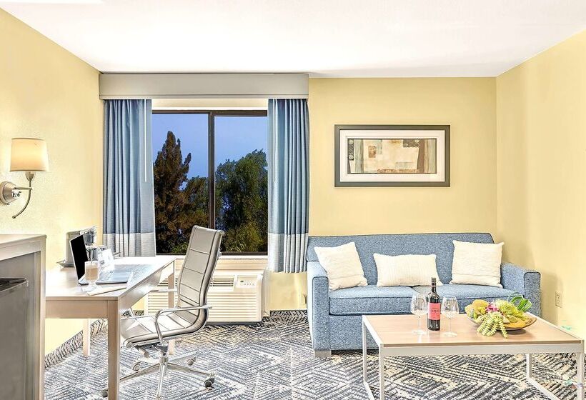 ホテル Best Western Plus Lewisville Flower Mound