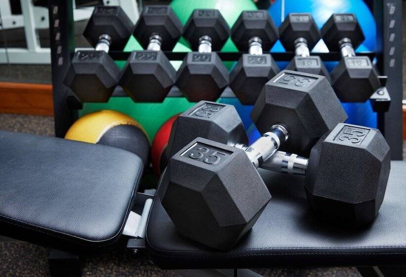 ホテル Best Western Plus Lewisville Flower Mound