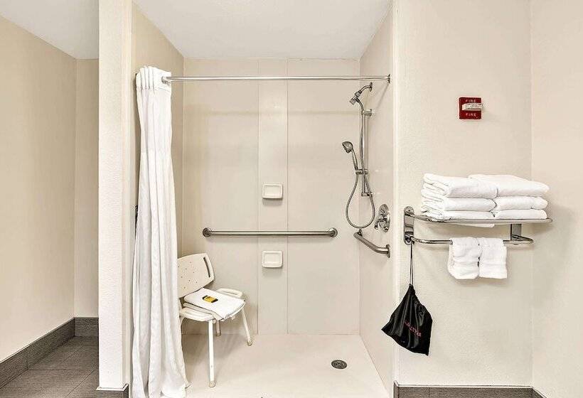 ホテル Best Western Plus Lewisville Flower Mound