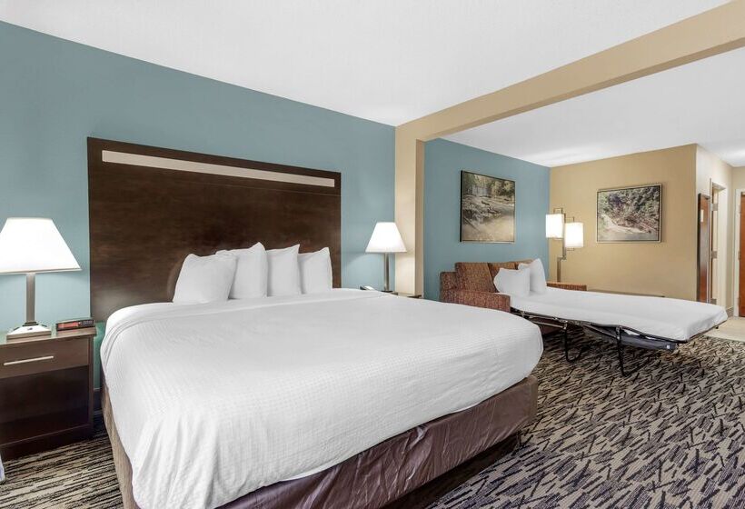 فندق Best Western Plus Mcdonough Inn & Suites