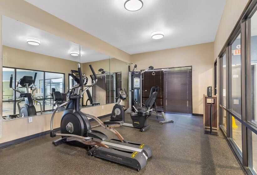 فندق Best Western Plus Mcdonough Inn & Suites