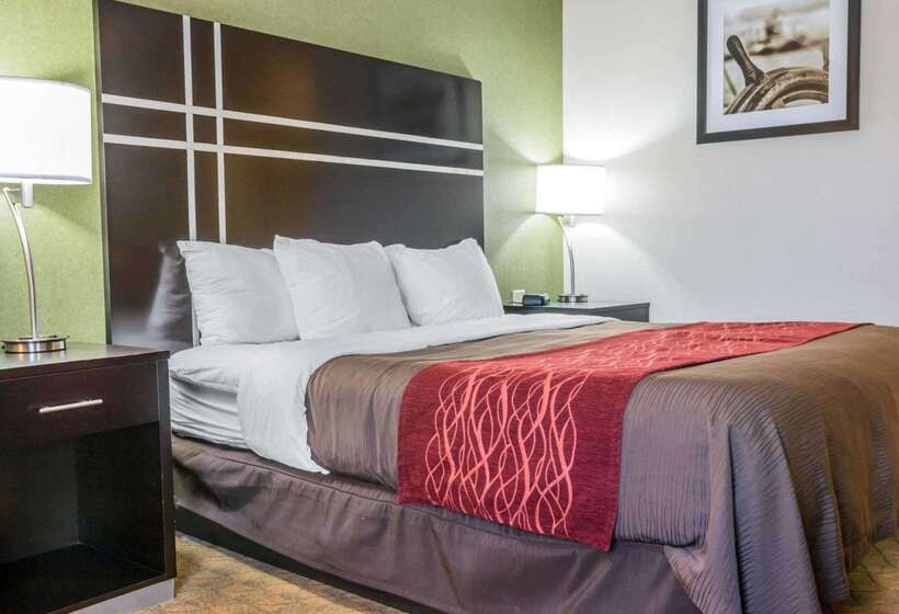 호텔 Comfort Inn & Suites Maumee   Toledo I80 90
