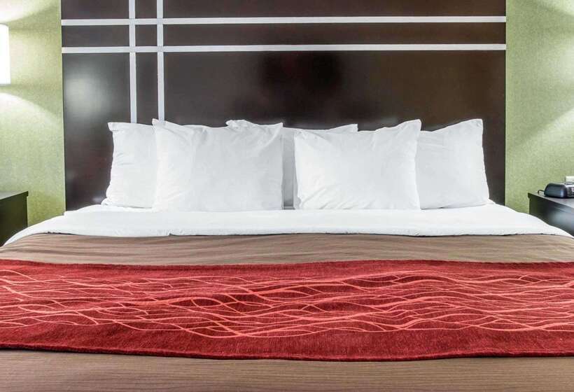호텔 Comfort Inn & Suites Maumee   Toledo I80 90