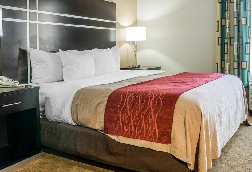 호텔 Comfort Inn & Suites Maumee   Toledo I80 90