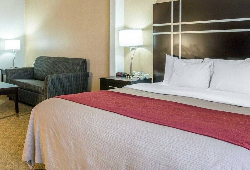 호텔 Comfort Inn & Suites Maumee   Toledo I80 90